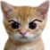 cat_sus static emote