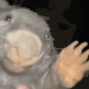 BobRKurwa emote