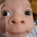bobao emote