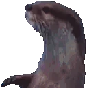 OtterCheck emote