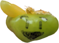 Piper emote
