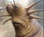 liveslugreaction emote