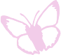 butterfly emote