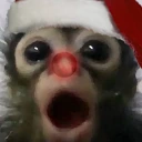 0 emote
