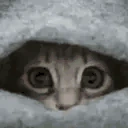 Lurk emote
