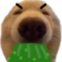 dawg_oeoe emote