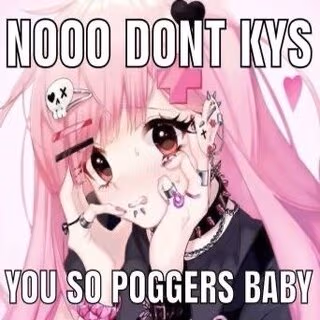 nooodontkysyourpoggers emote