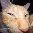 SusGinger emote