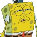 spongewhat emote