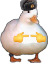 isforus emote