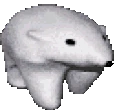 Polarbear emote