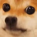 bruhDog emote