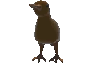KiwiSpin emote