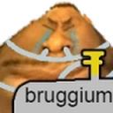 Bruggium static emote