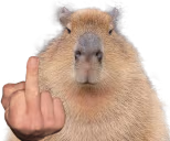 capyfk emote