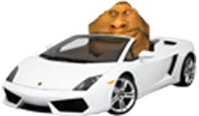 Lambrughini emote