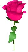 Rose_8 emote
