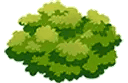 Bush animated emote