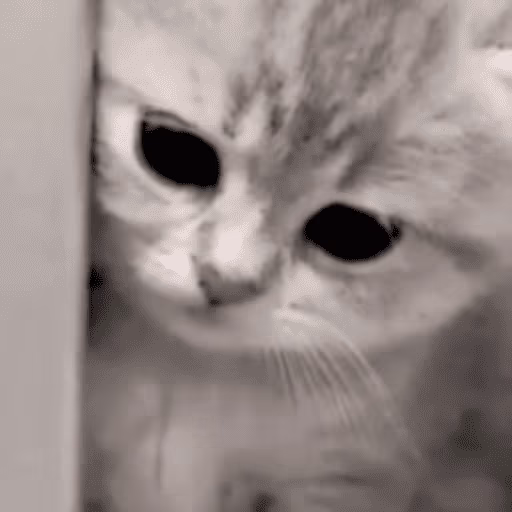 cute emote