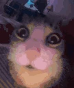 ouh emote
