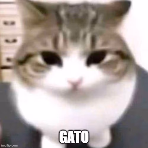 Cat emote