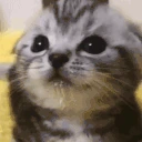 less emote