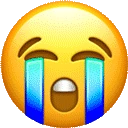 Party_Cry emote