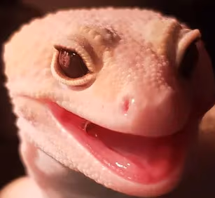 MrManMouthSmile emote
