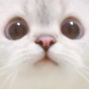 HELLO static emote