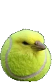 tenisbounce emote