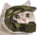 HypeCat emote
