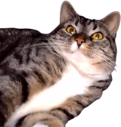 lucyFreak emote