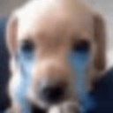 sadPerrito emote