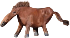 HONSE emote