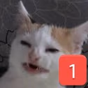 CE_SadCatPing emote