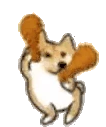 kfcDoge emote