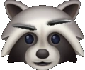 Dubious_raccoon emote