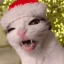 nyamka emote