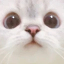 HELLO emote