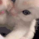 mew emote