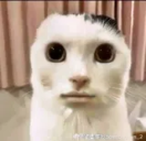 NOIDONTFEELTHEWEIGHTOFMYSINSITDOESNOTHURTGODSJUDGEMENTDOESNOTFIL static emote