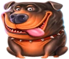 doghouse emote