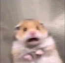 scared static emote