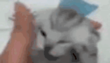 AAAA animated emote
