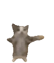 yippie emoji