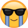 sobglasses emote