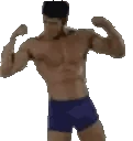 vanPls emoji