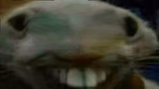 xpp emote