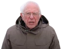 bernie emote