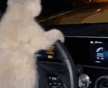 Driving emoji